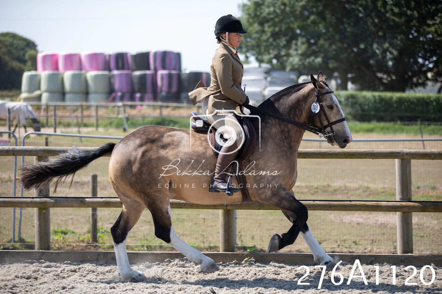 Home Farm Annual Show 2025 - Ridden Pt 1