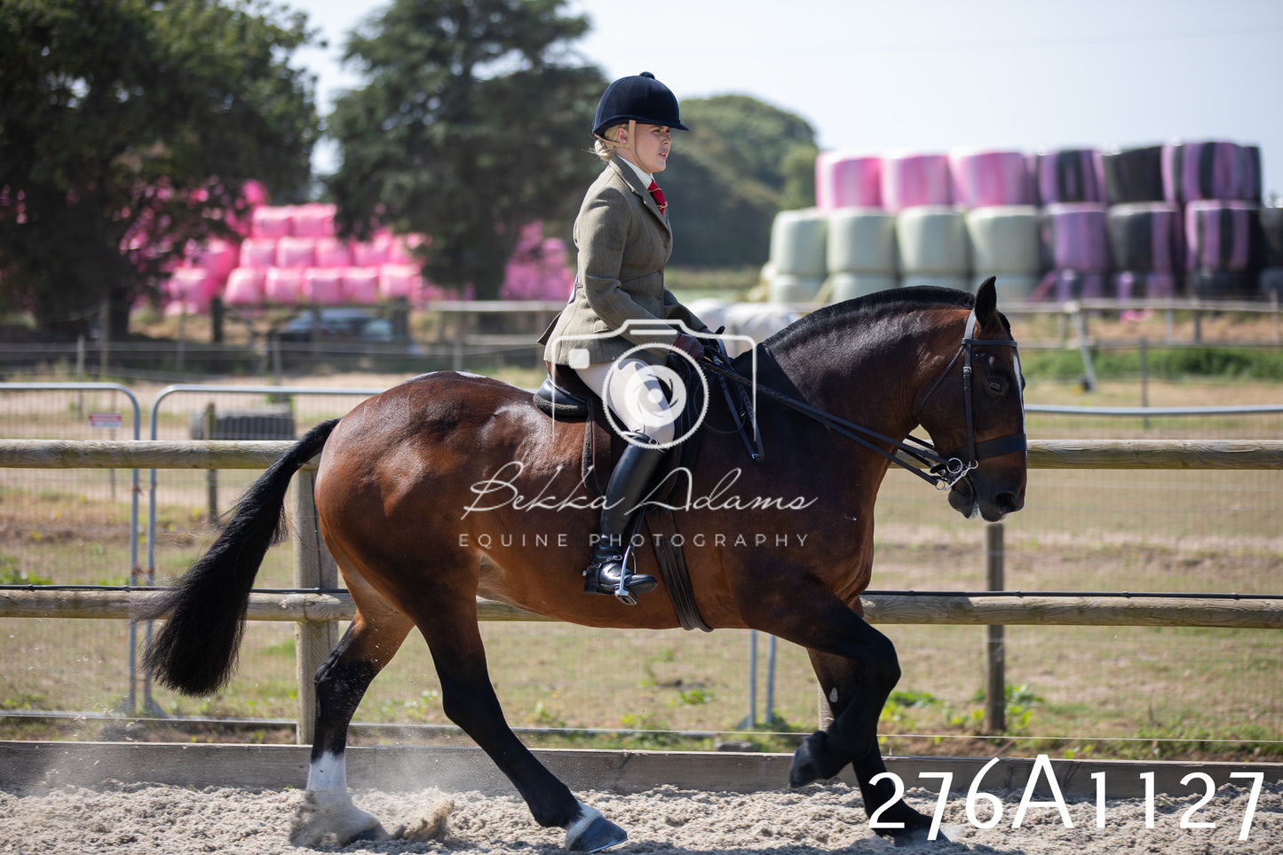 Home Farm Annual Show 2025 - Ridden Pt 1