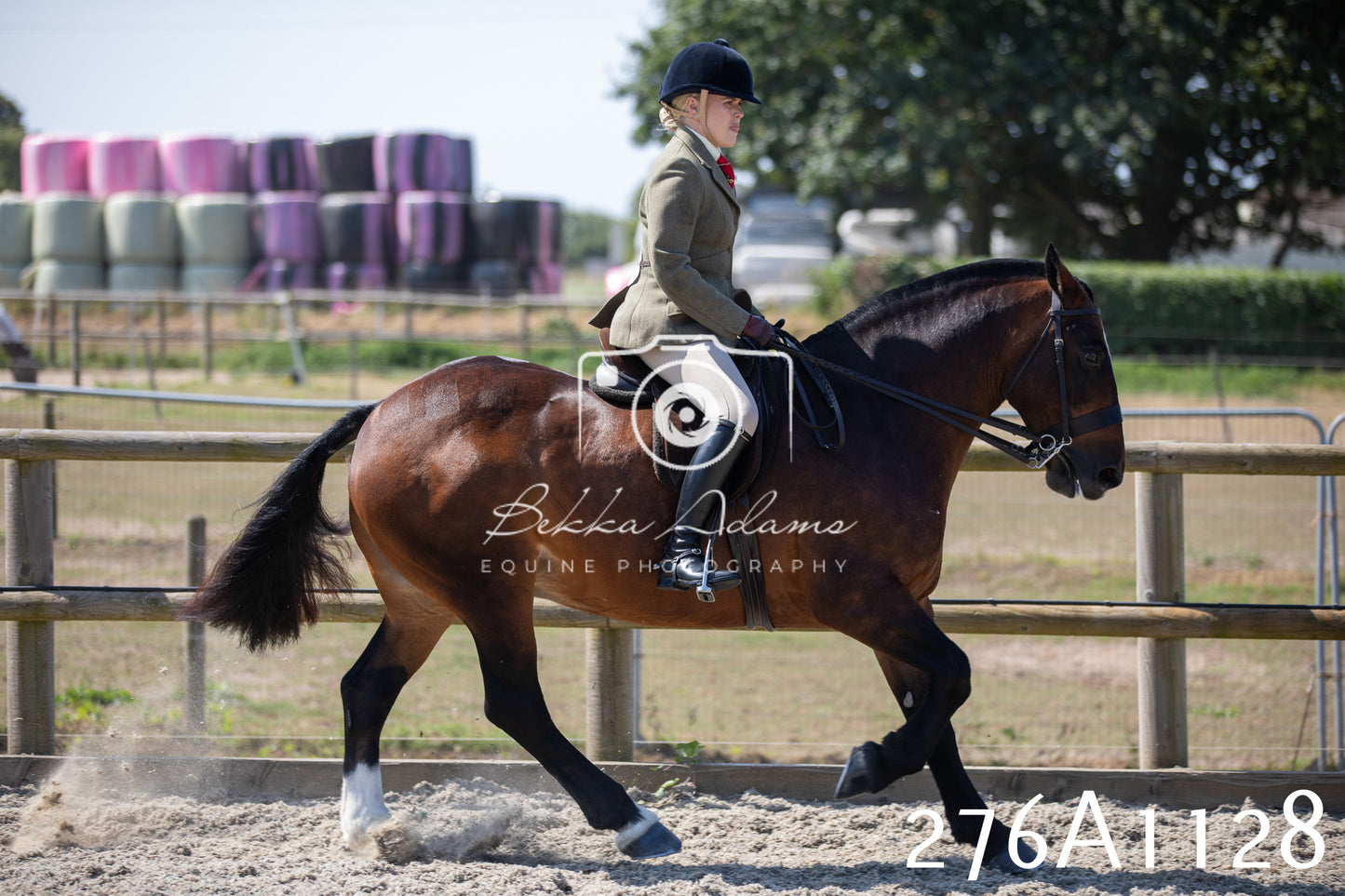 Home Farm Annual Show 2025 - Ridden Pt 1