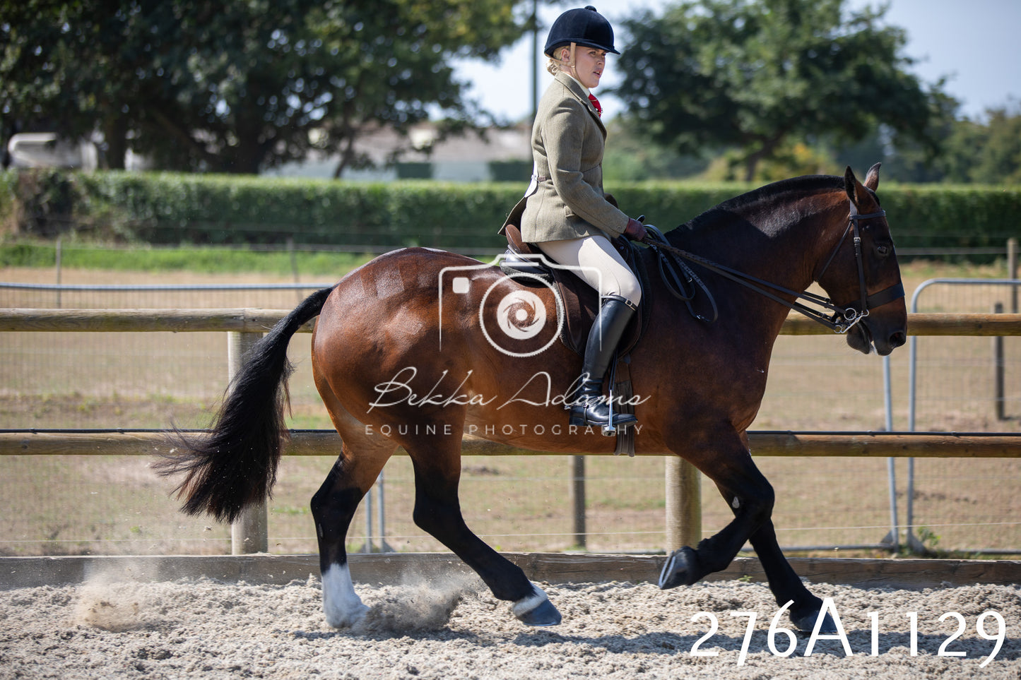 Home Farm Annual Show 2025 - Ridden Pt 1