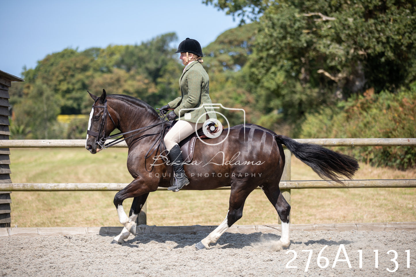 Home Farm Annual Show 2025 - Ridden Pt 1