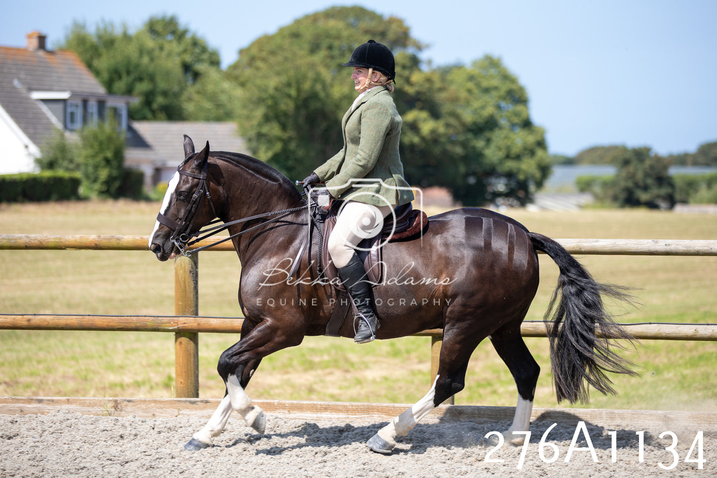 Home Farm Annual Show 2025 - Ridden Pt 1