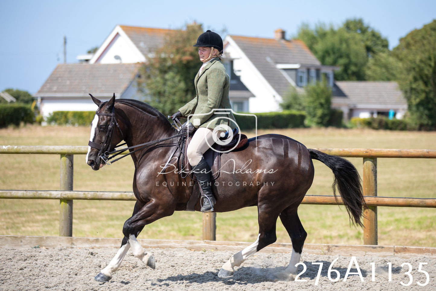 Home Farm Annual Show 2025 - Ridden Pt 1