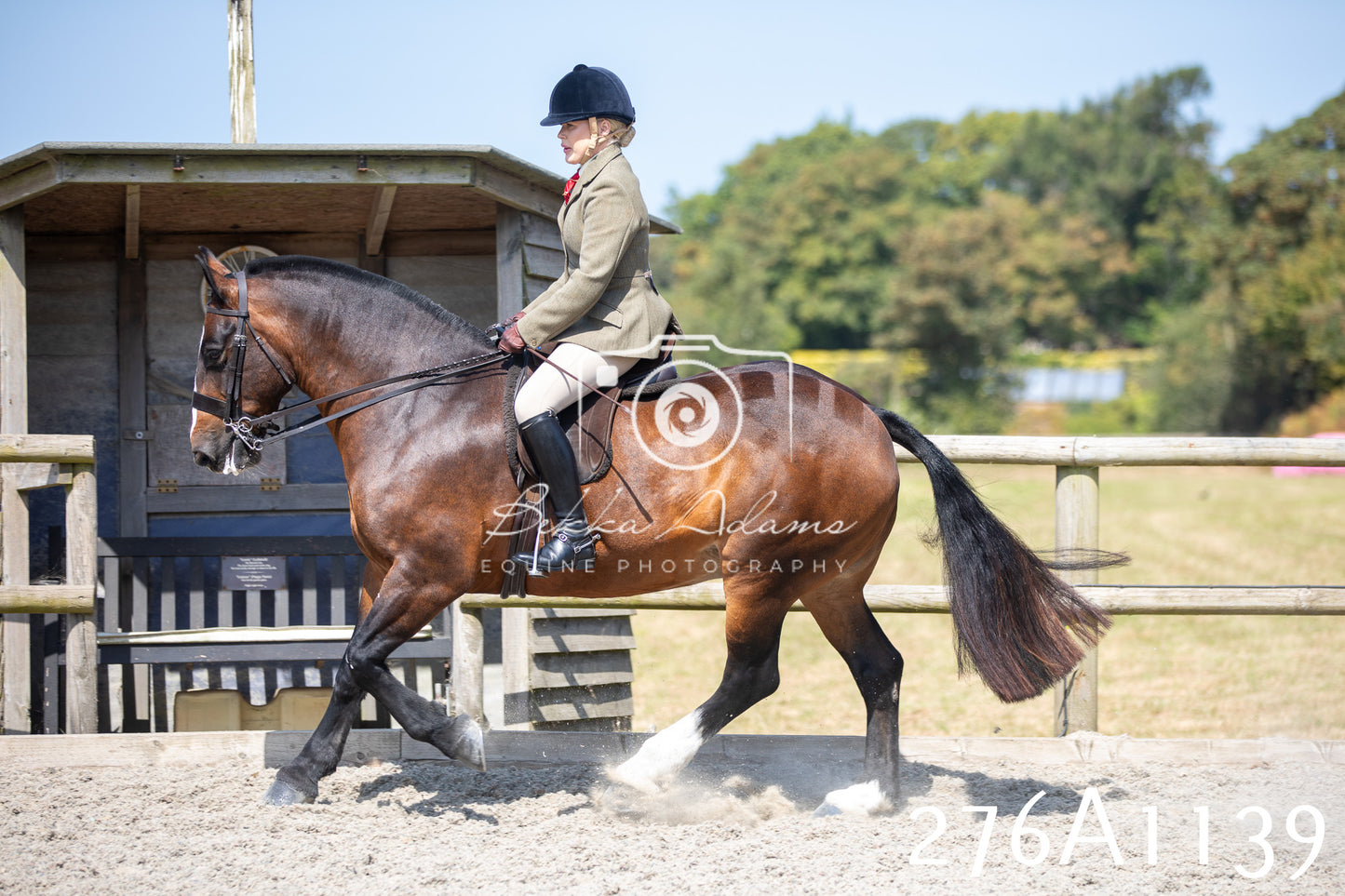Home Farm Annual Show 2025 - Ridden Pt 1
