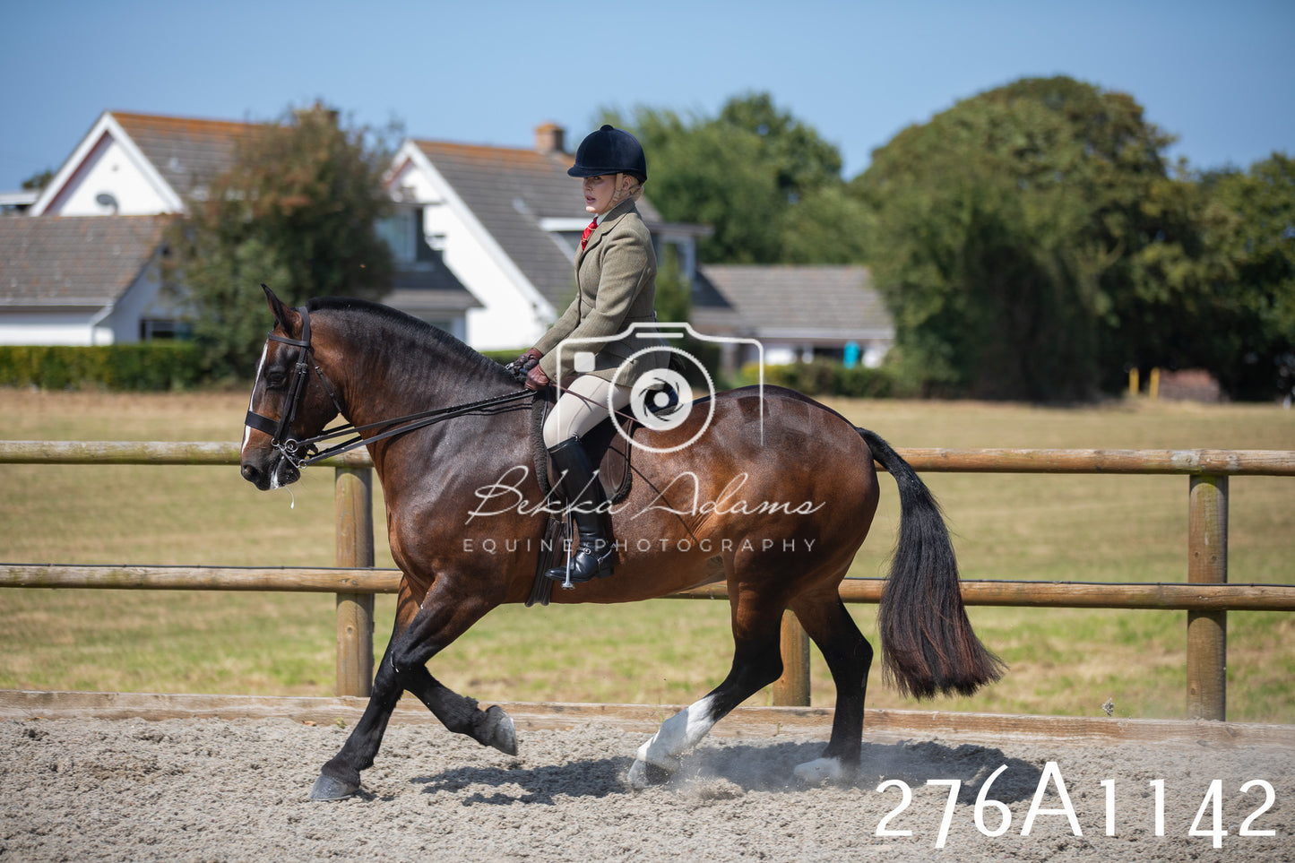 Home Farm Annual Show 2025 - Ridden Pt 1