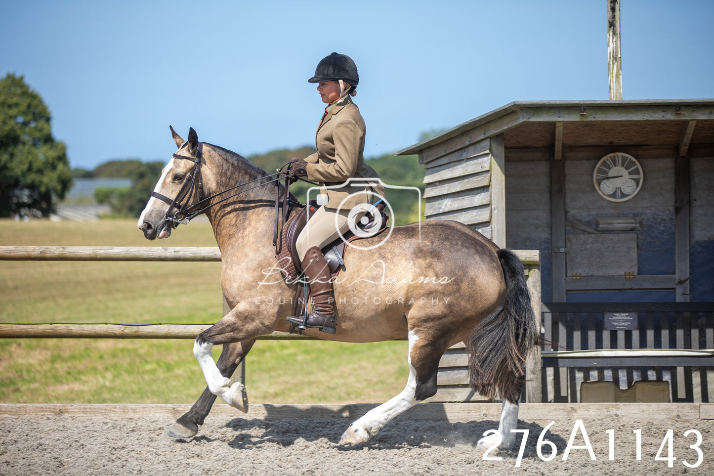 Home Farm Annual Show 2025 - Ridden Pt 1