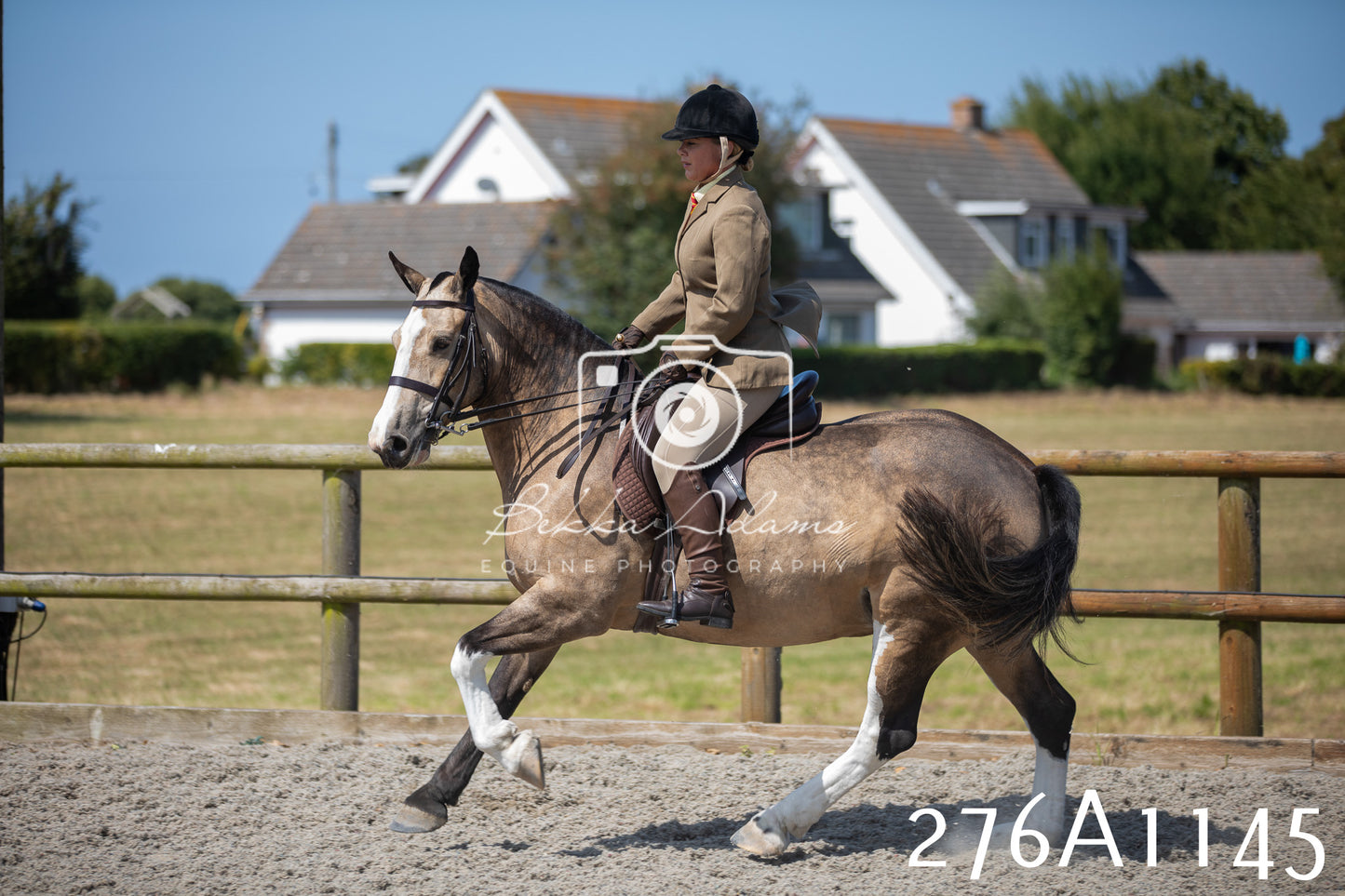Home Farm Annual Show 2025 - Ridden Pt 1