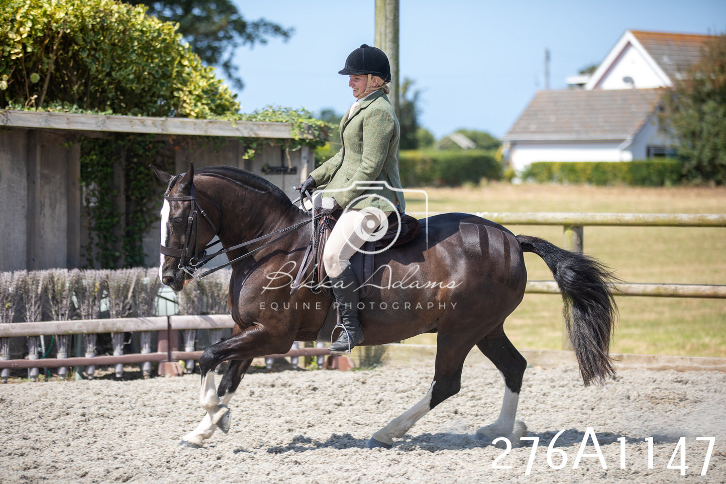 Home Farm Annual Show 2025 - Ridden Pt 1