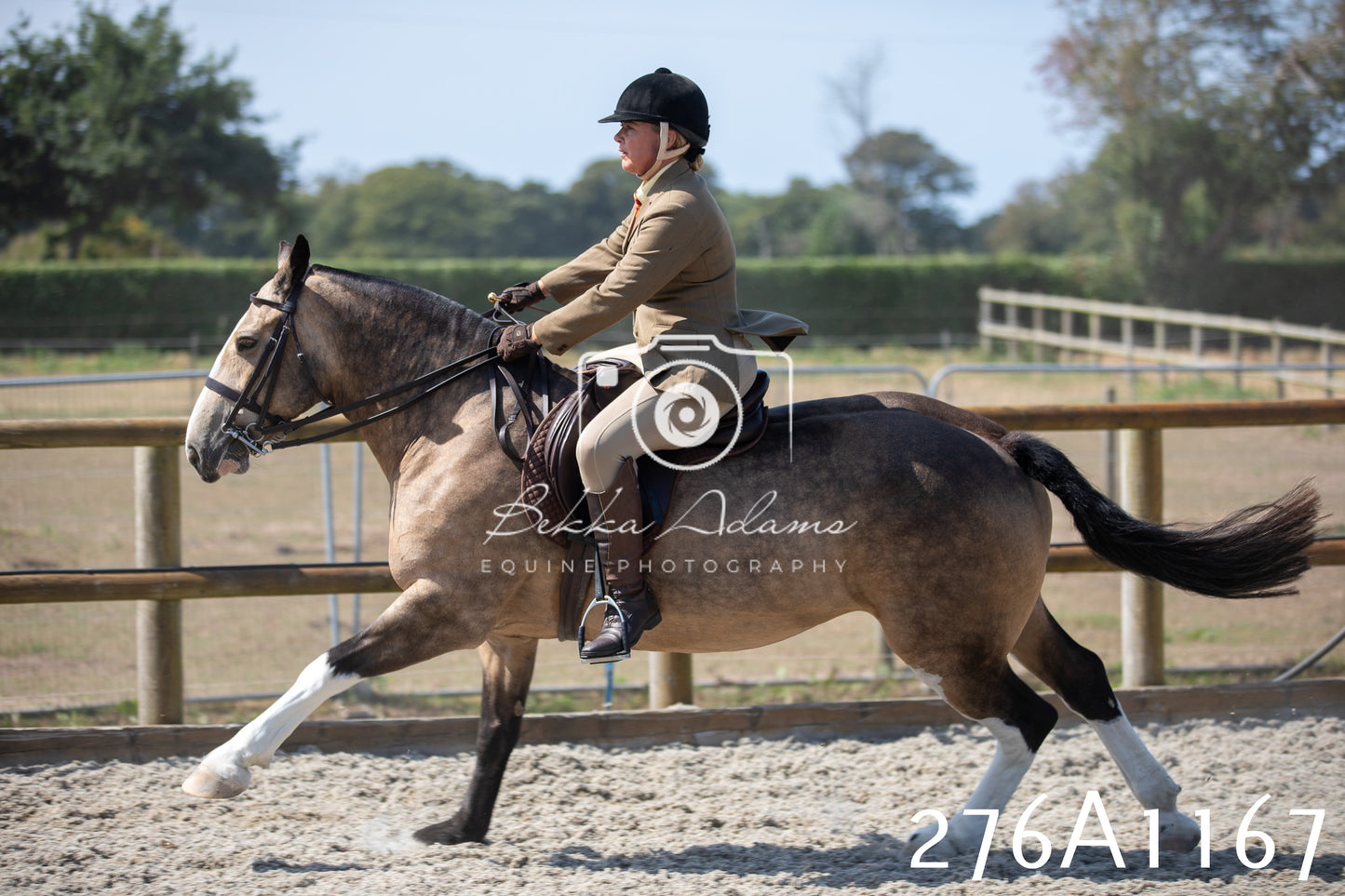 Home Farm Annual Show 2025 - Ridden Pt 1