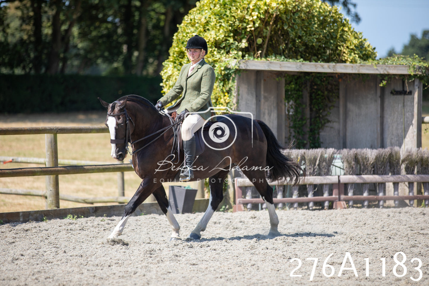 Home Farm Annual Show 2025 - Ridden Pt 1