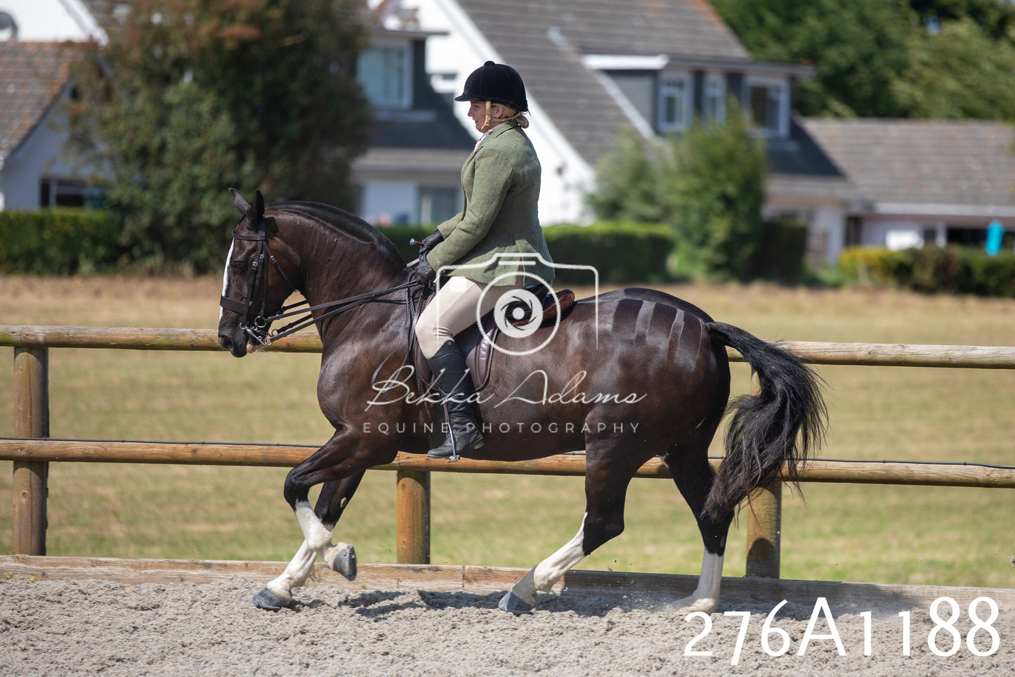 Home Farm Annual Show 2025 - Ridden Pt 1