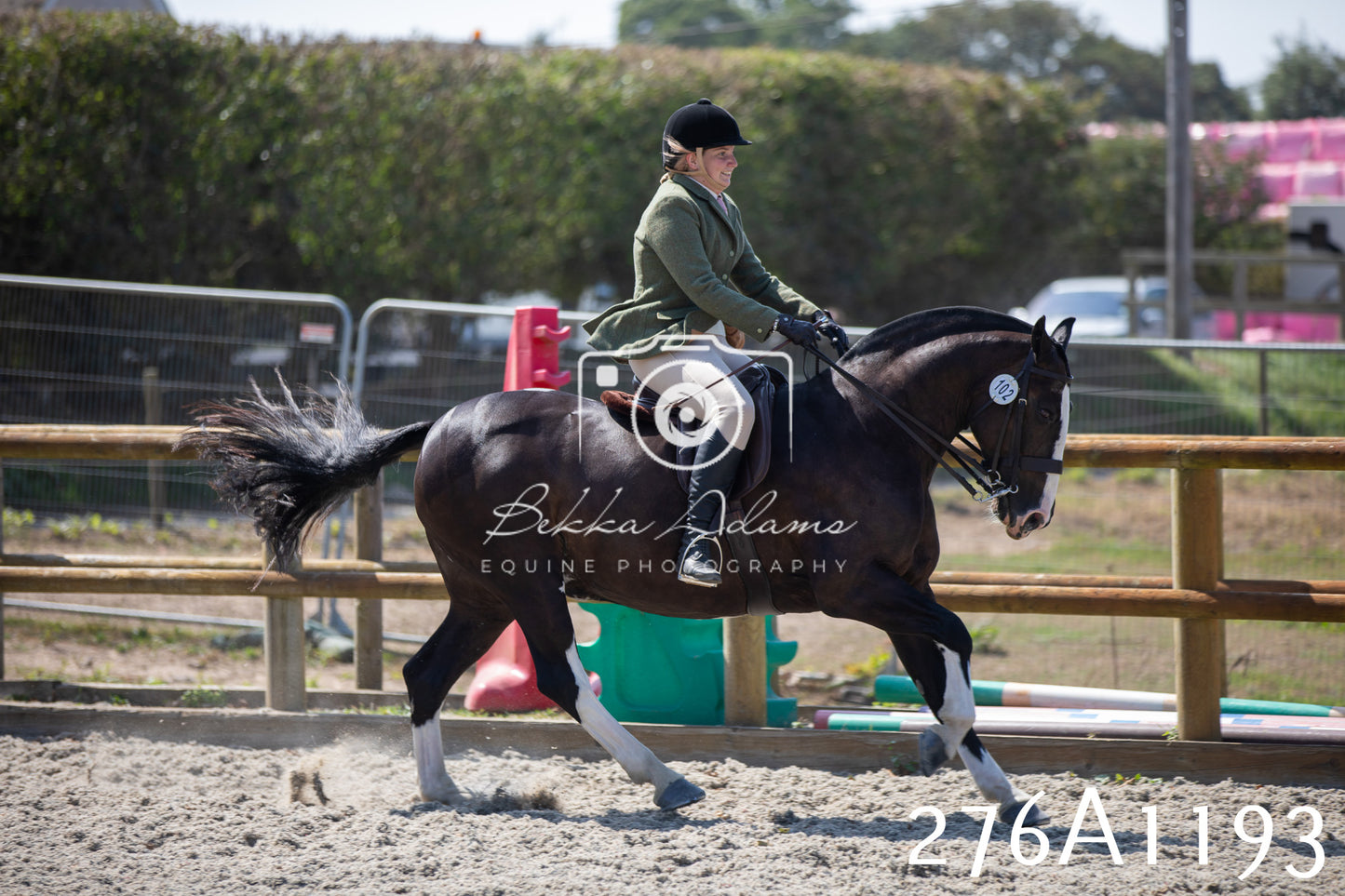 Home Farm Annual Show 2025 - Ridden Pt 1