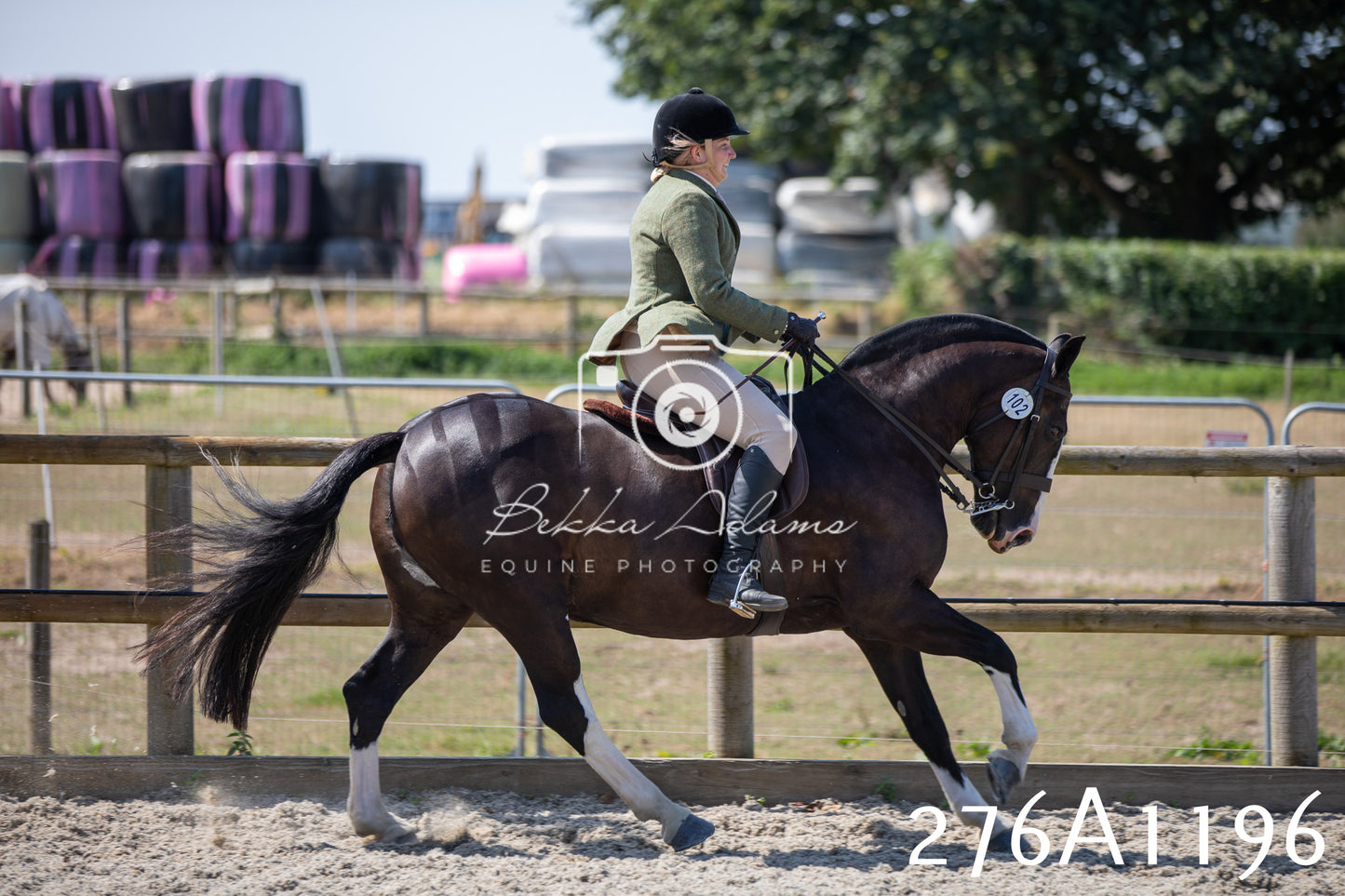 Home Farm Annual Show 2025 - Ridden Pt 1