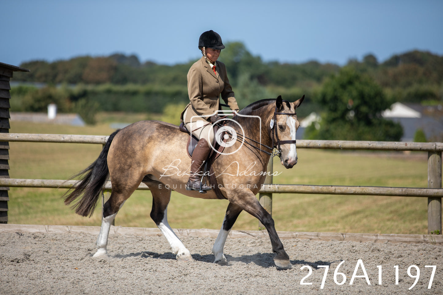 Home Farm Annual Show 2025 - Ridden Pt 1