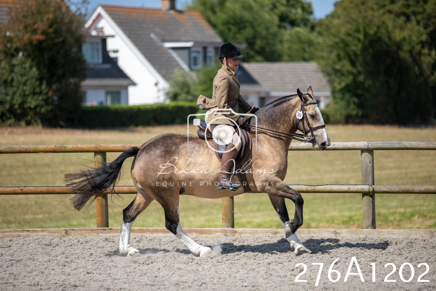 Home Farm Annual Show 2025 - Ridden Pt 1