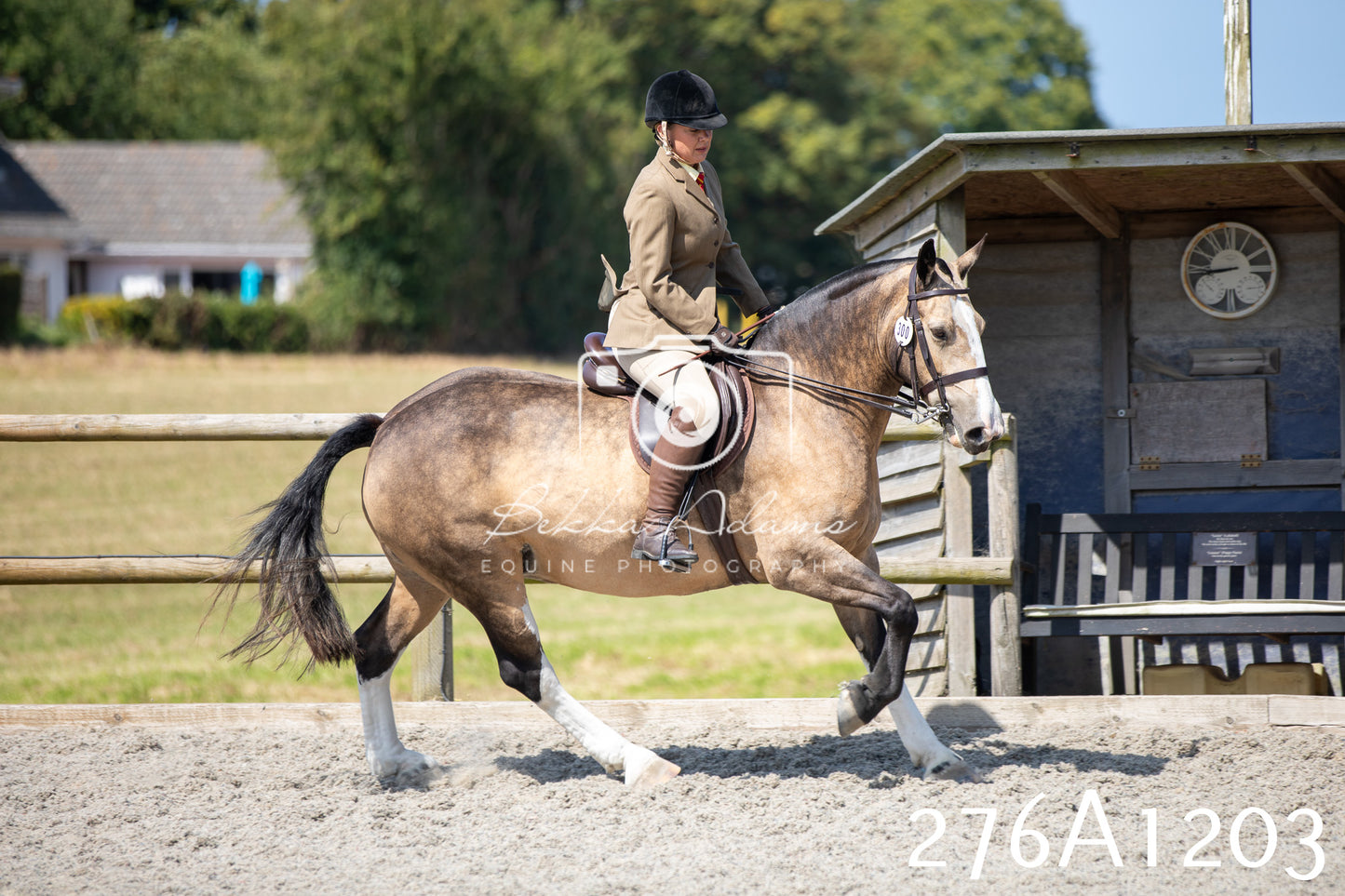 Home Farm Annual Show 2025 - Ridden Pt 1