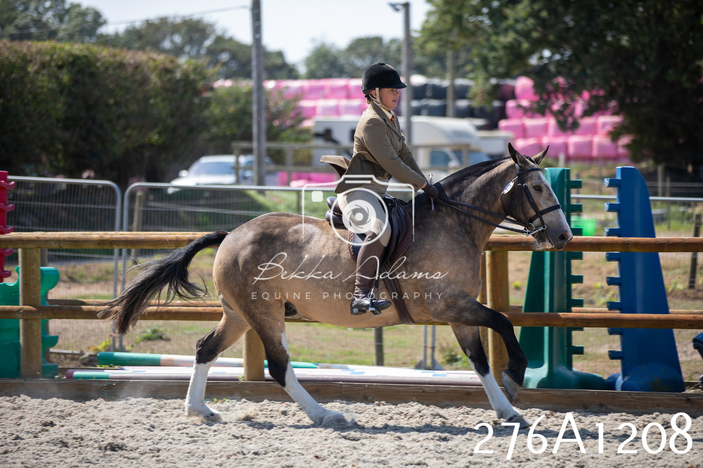 Home Farm Annual Show 2025 - Ridden Pt 1