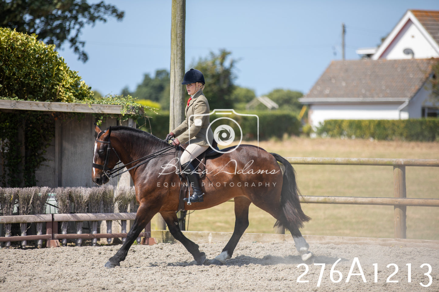 Home Farm Annual Show 2025 - Ridden Pt 1