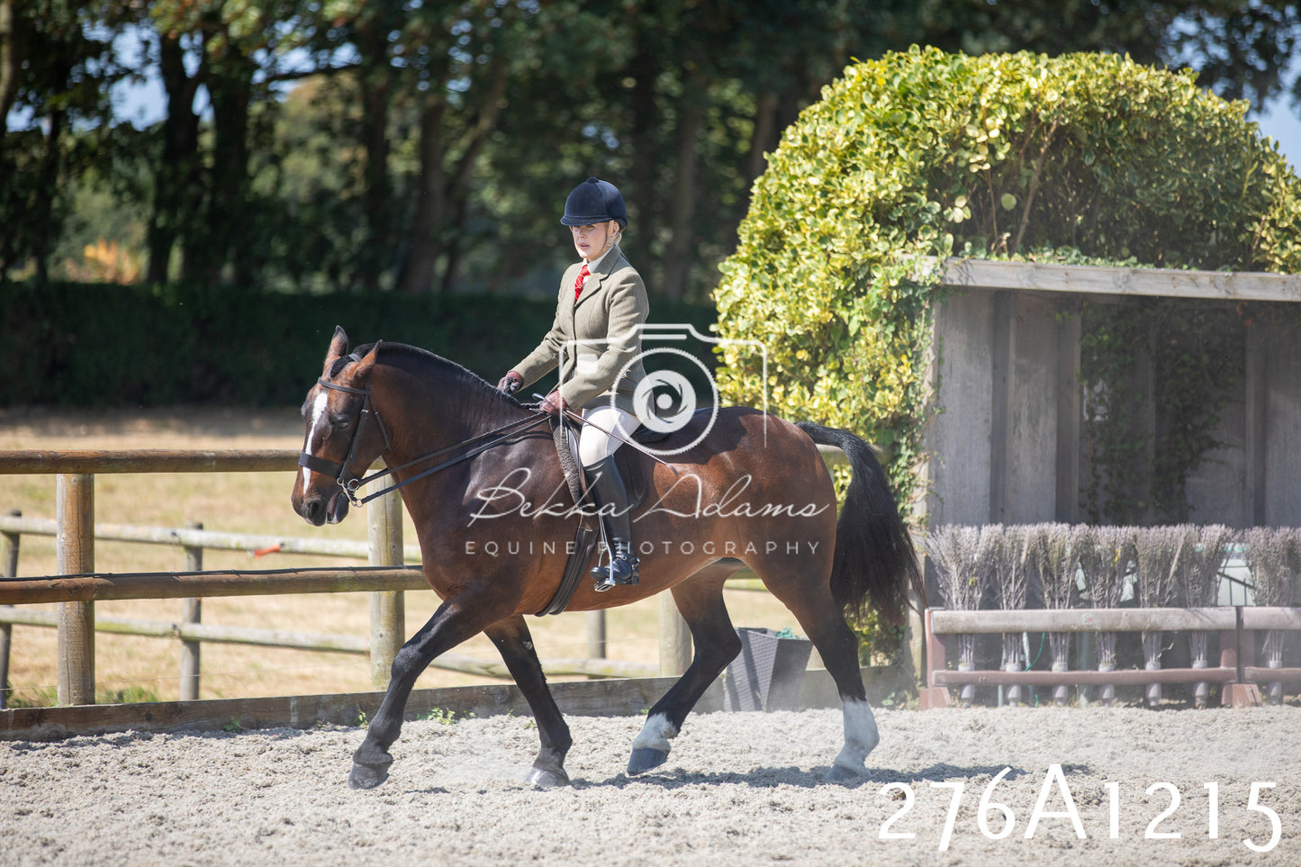 Home Farm Annual Show 2025 - Ridden Pt 1