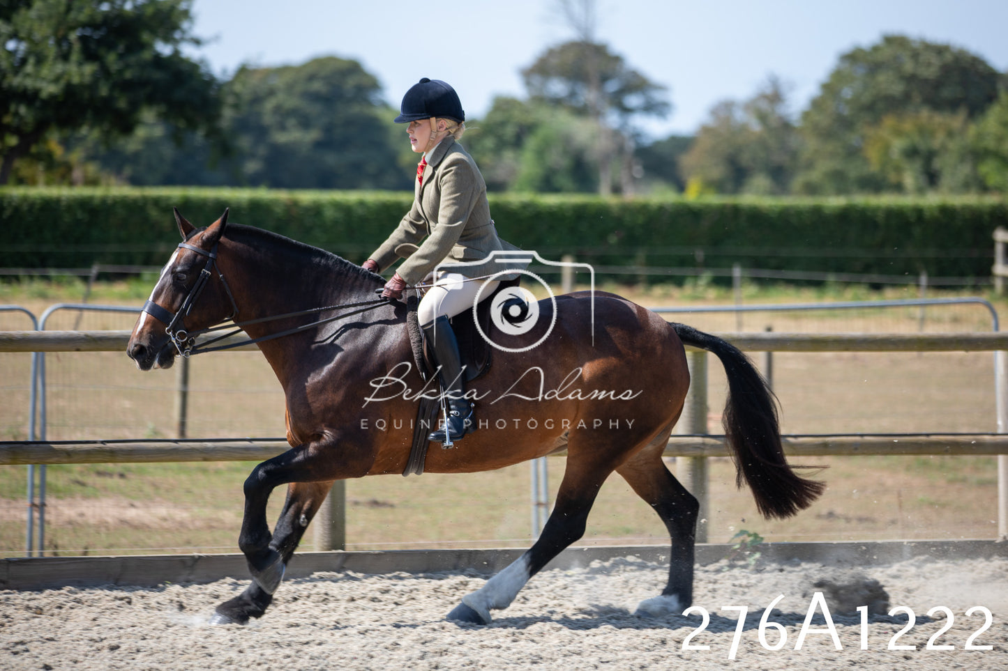 Home Farm Annual Show 2025 - Ridden Pt 1