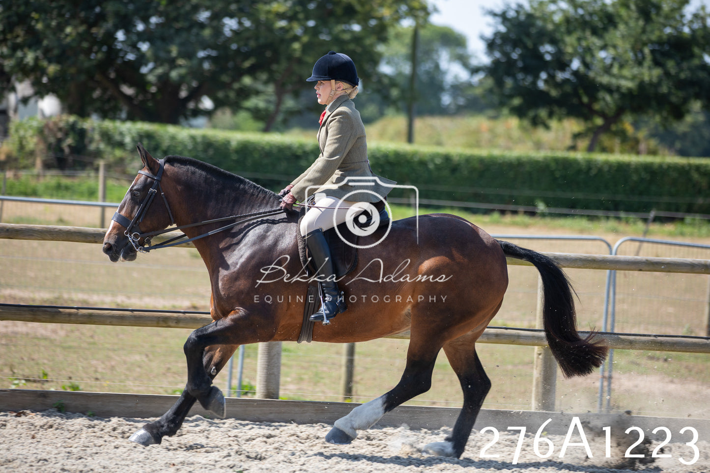 Home Farm Annual Show 2025 - Ridden Pt 1