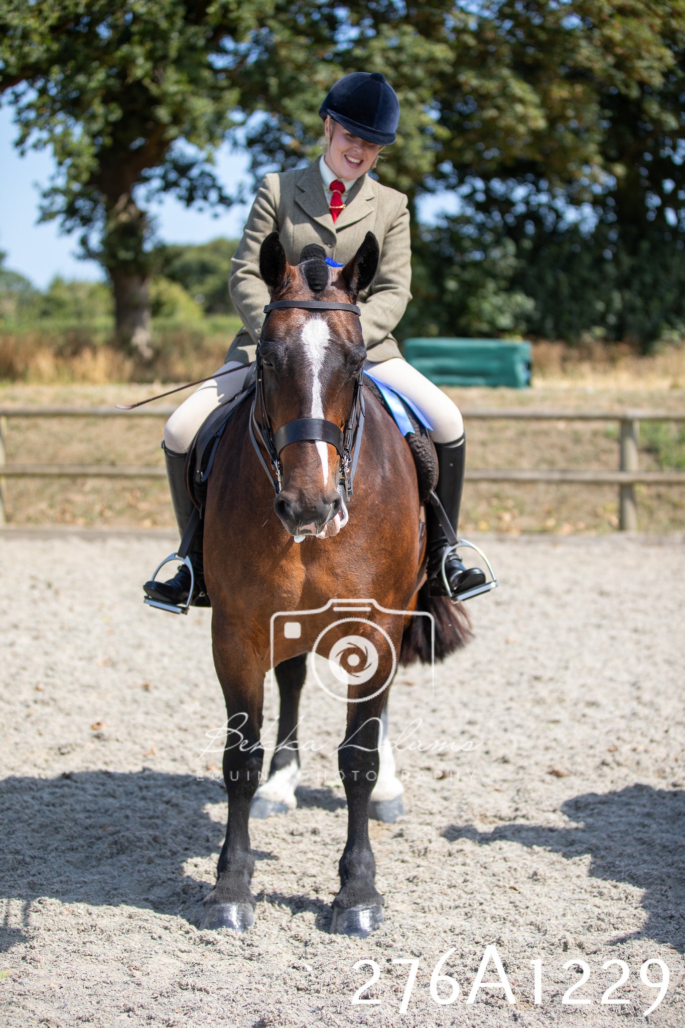 Home Farm Annual Show 2025 - Ridden Pt 1