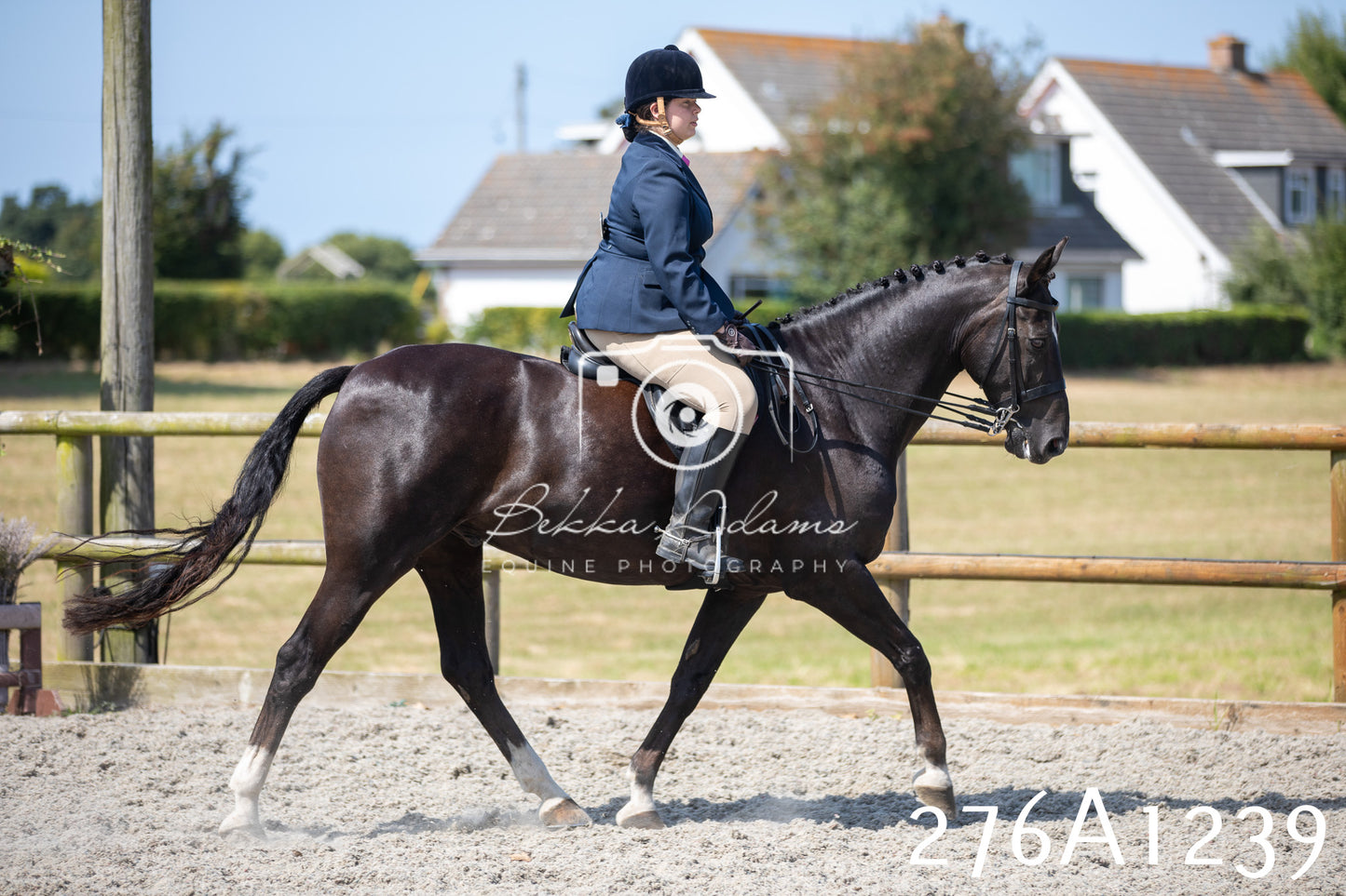 Home Farm Annual Show 2025 - Ridden Pt 1