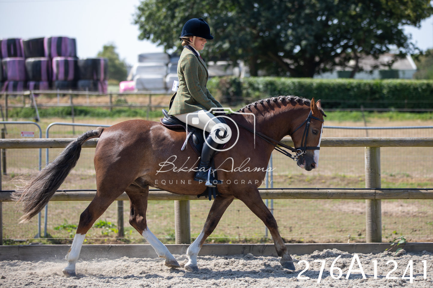 Home Farm Annual Show 2025 - Ridden Pt 1