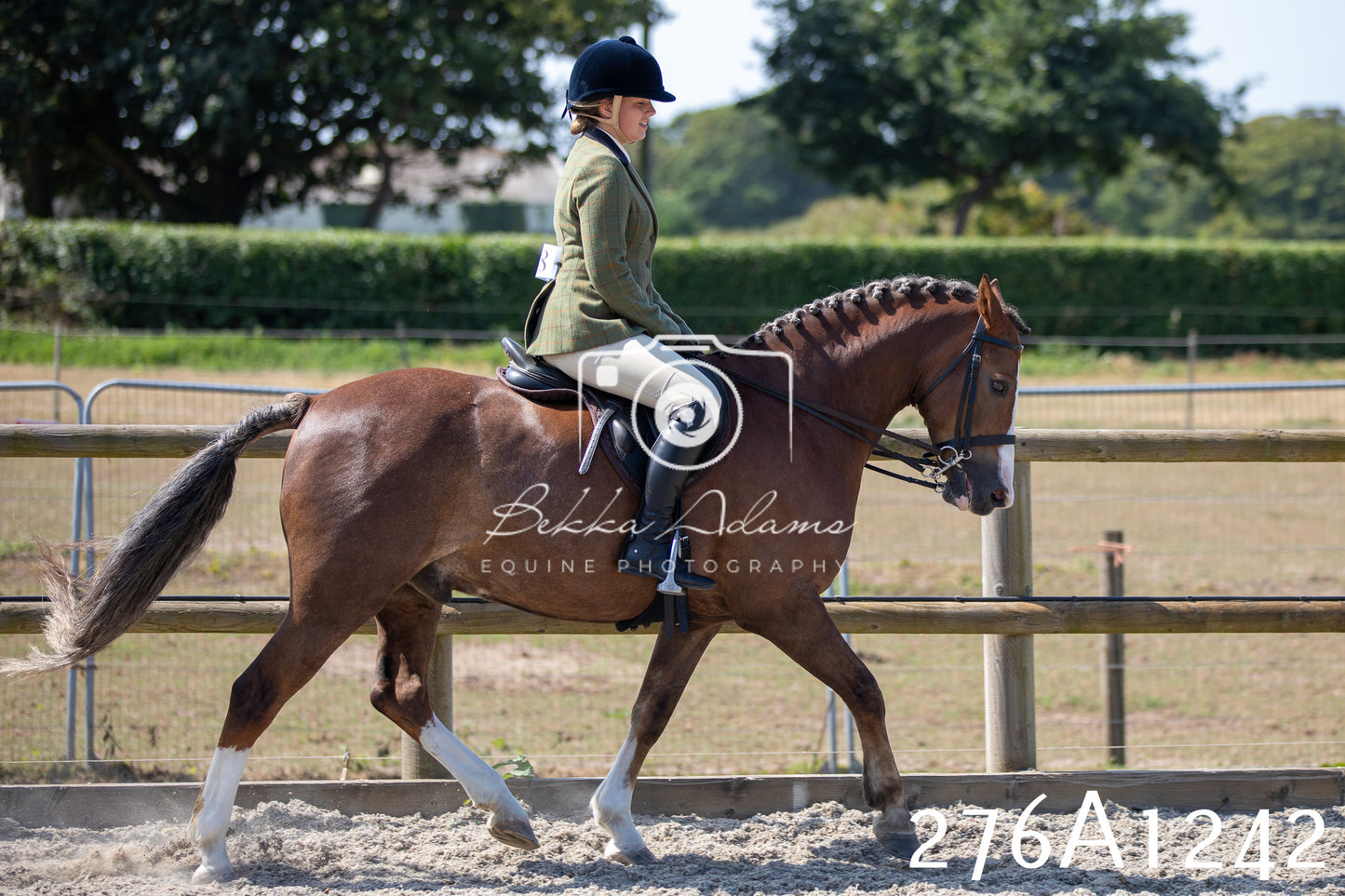 Home Farm Annual Show 2025 - Ridden Pt 1