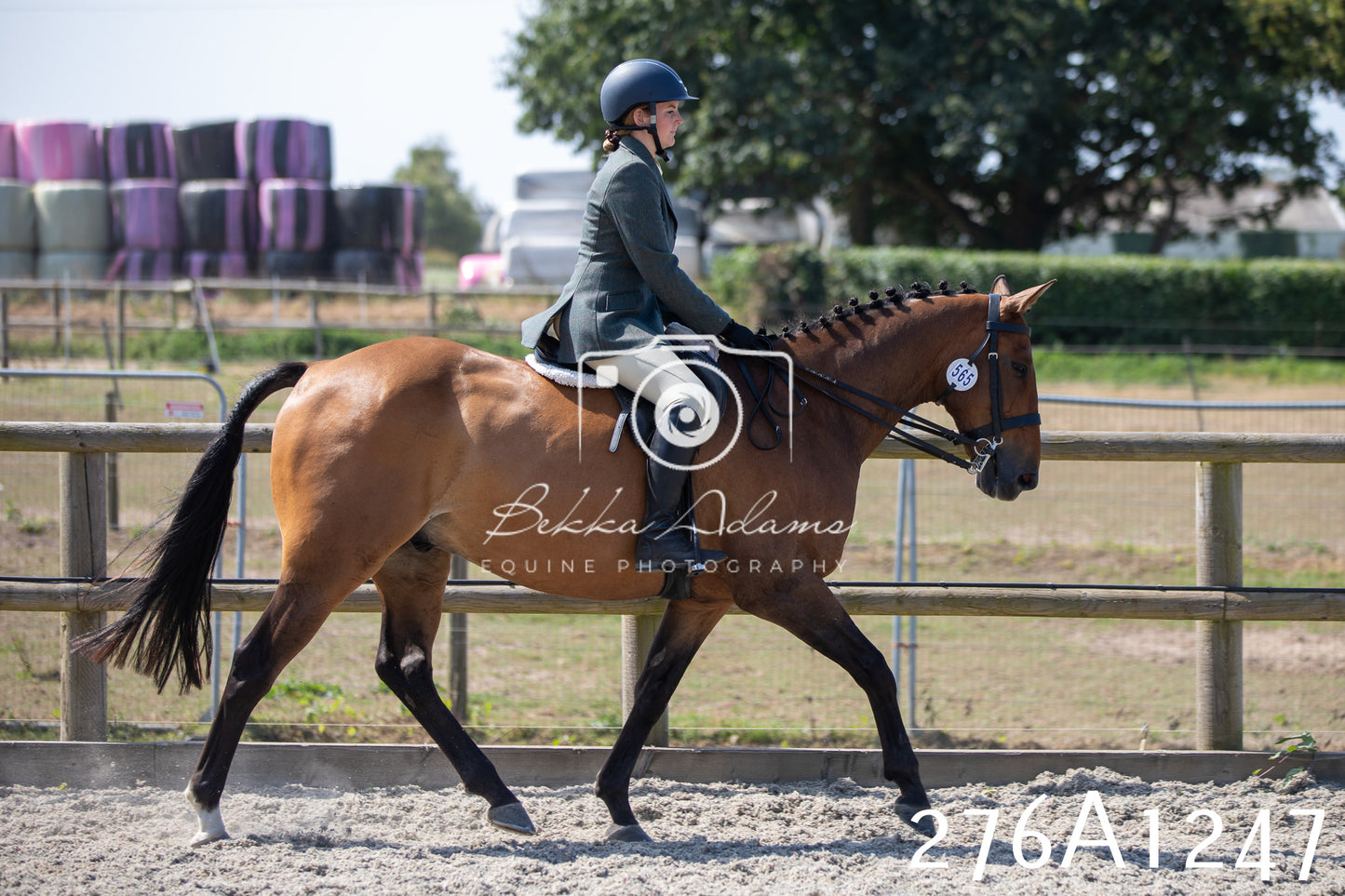Home Farm Annual Show 2025 - Ridden Pt 1