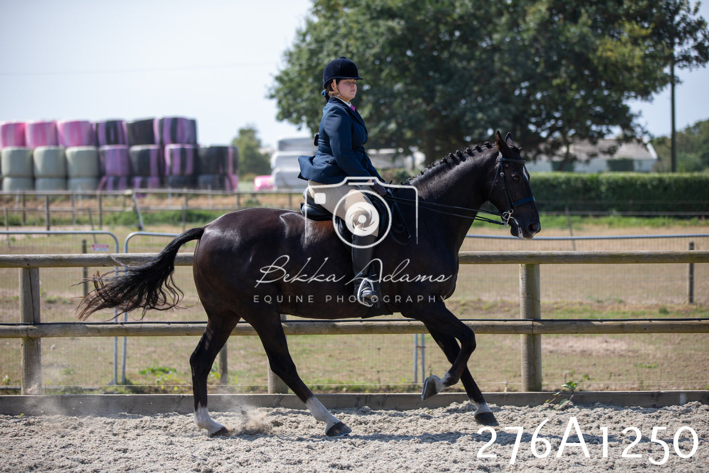 Home Farm Annual Show 2025 - Ridden Pt 1