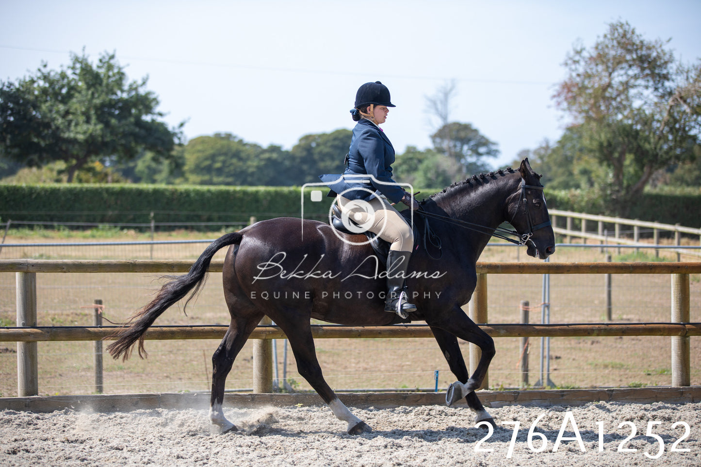 Home Farm Annual Show 2025 - Ridden Pt 1