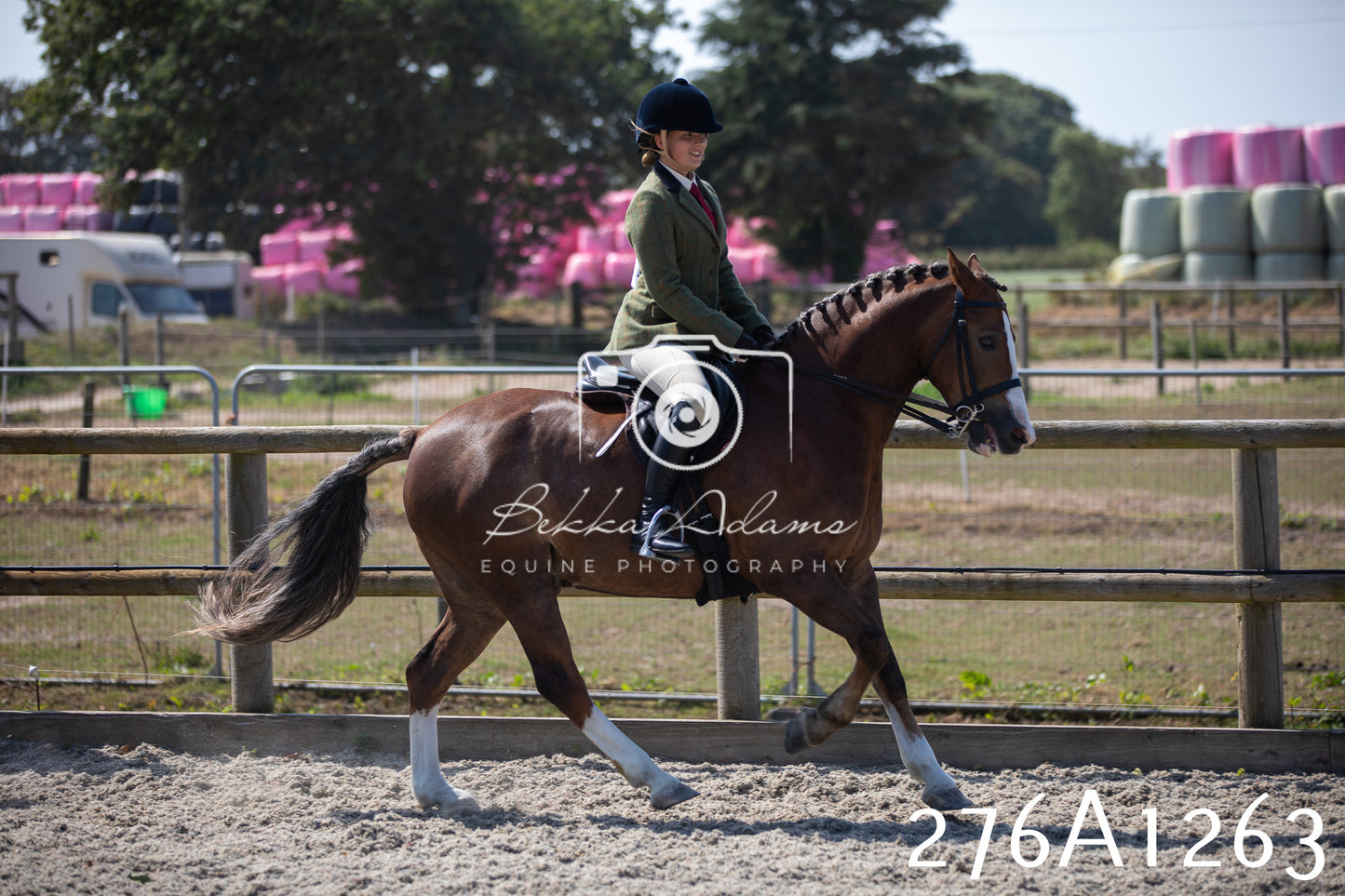 Home Farm Annual Show 2025 - Ridden Pt 1