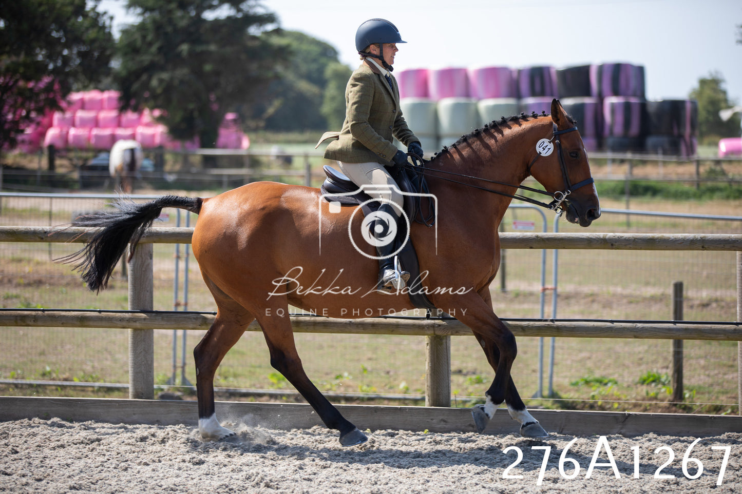 Home Farm Annual Show 2025 - Ridden Pt 1