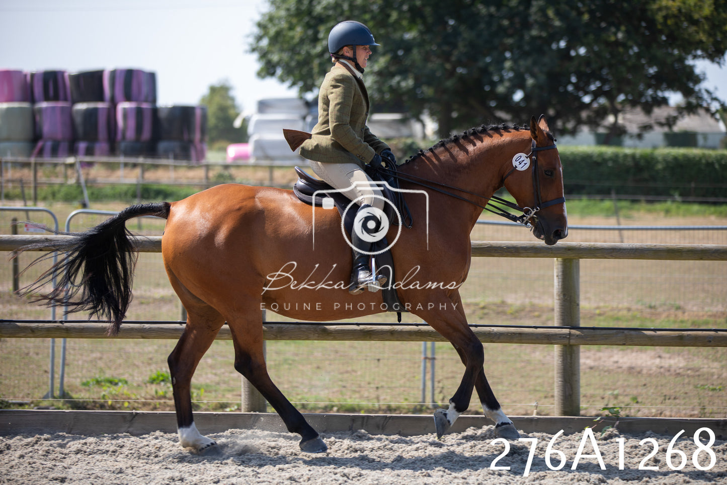 Home Farm Annual Show 2025 - Ridden Pt 1