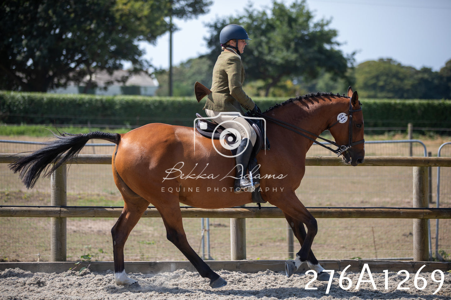 Home Farm Annual Show 2025 - Ridden Pt 1