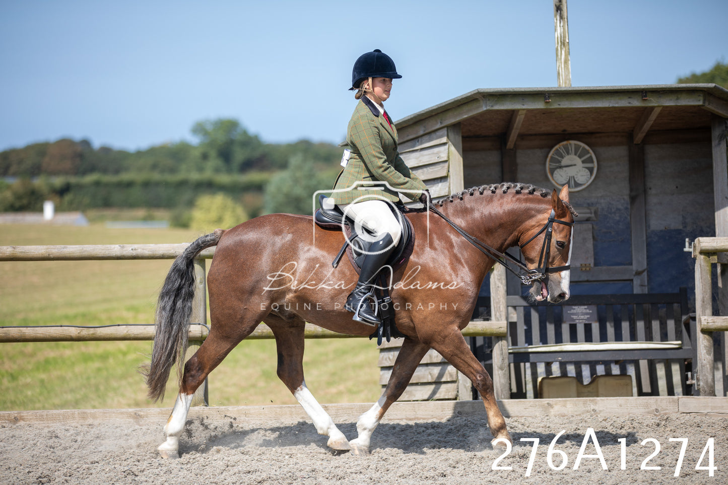 Home Farm Annual Show 2025 - Ridden Pt 1