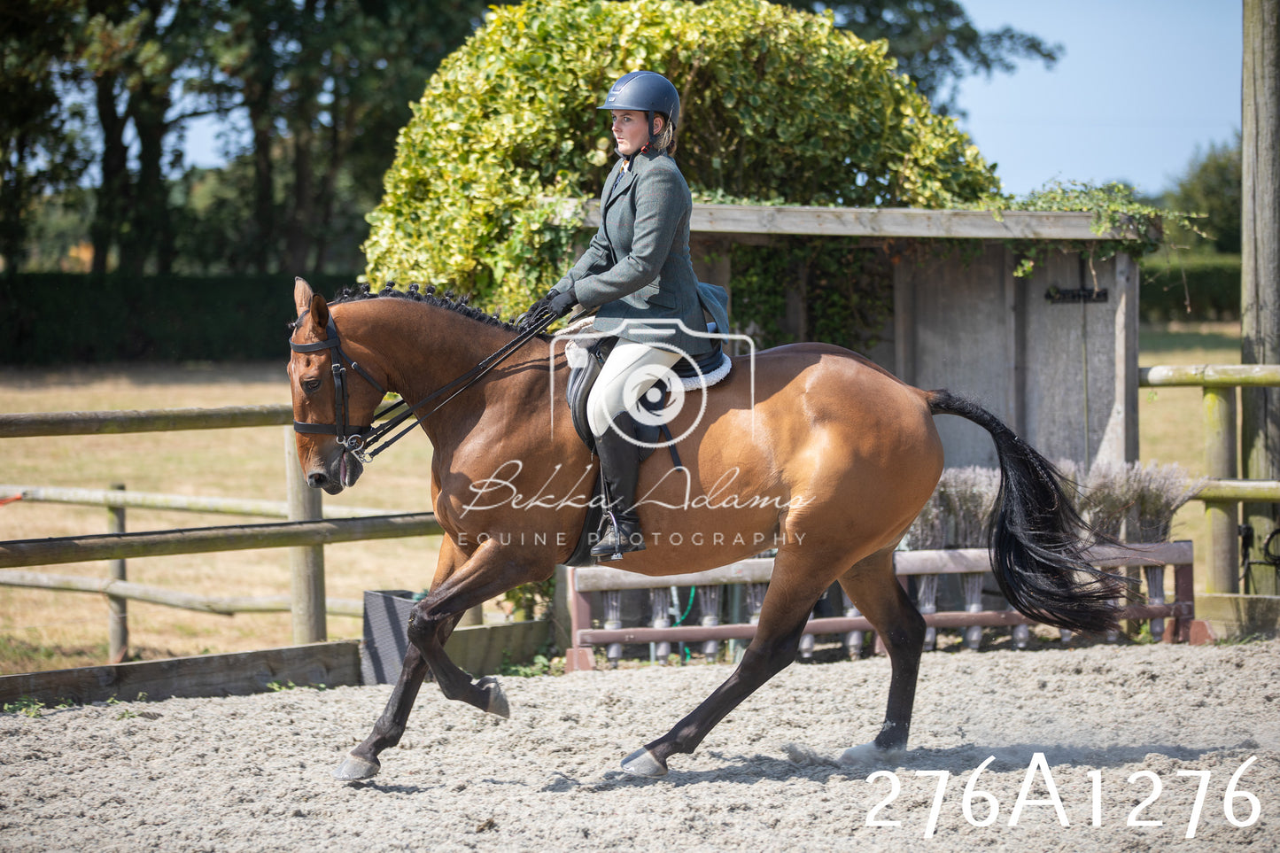 Home Farm Annual Show 2025 - Ridden Pt 1
