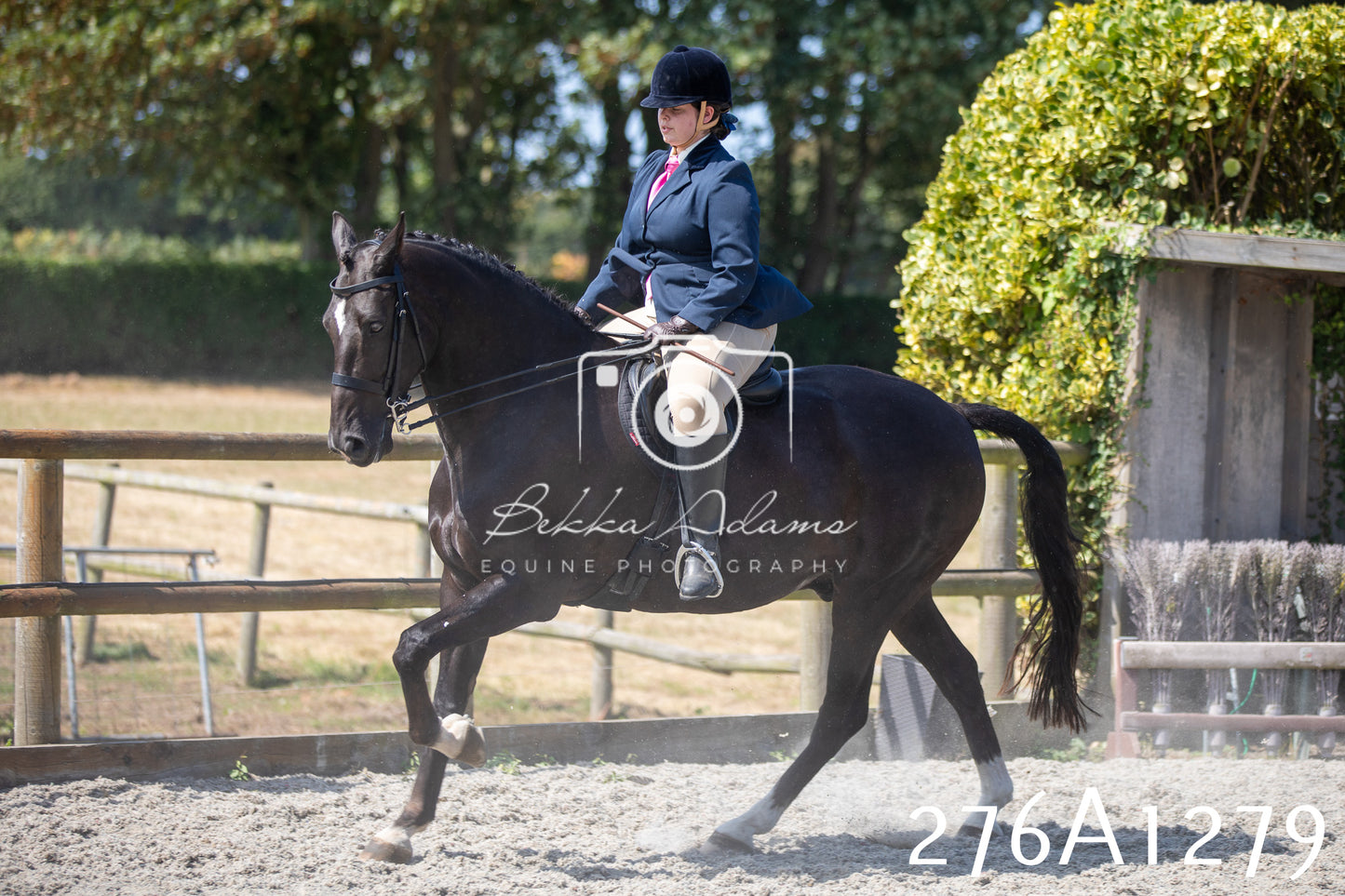 Home Farm Annual Show 2025 - Ridden Pt 1