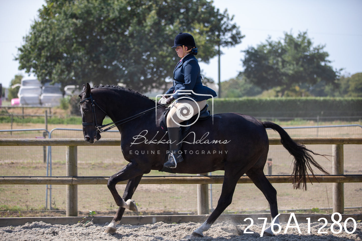 Home Farm Annual Show 2025 - Ridden Pt 1