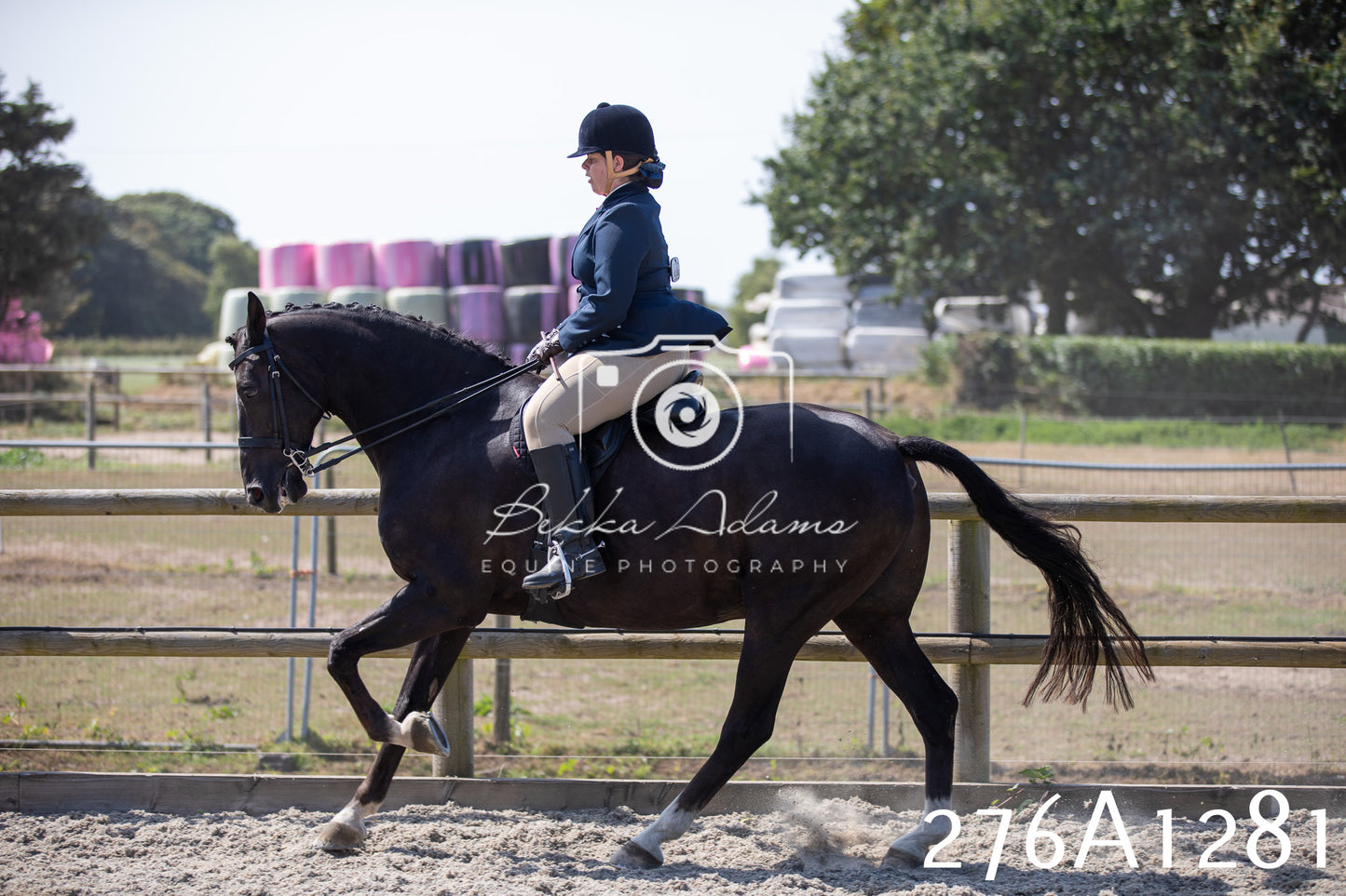 Home Farm Annual Show 2025 - Ridden Pt 1