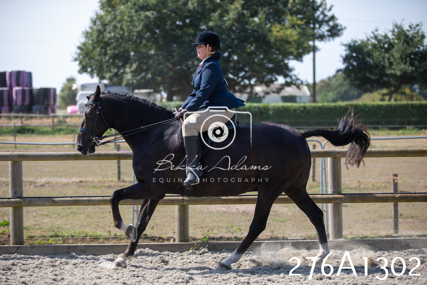 Home Farm Annual Show 2025 - Ridden Pt 1