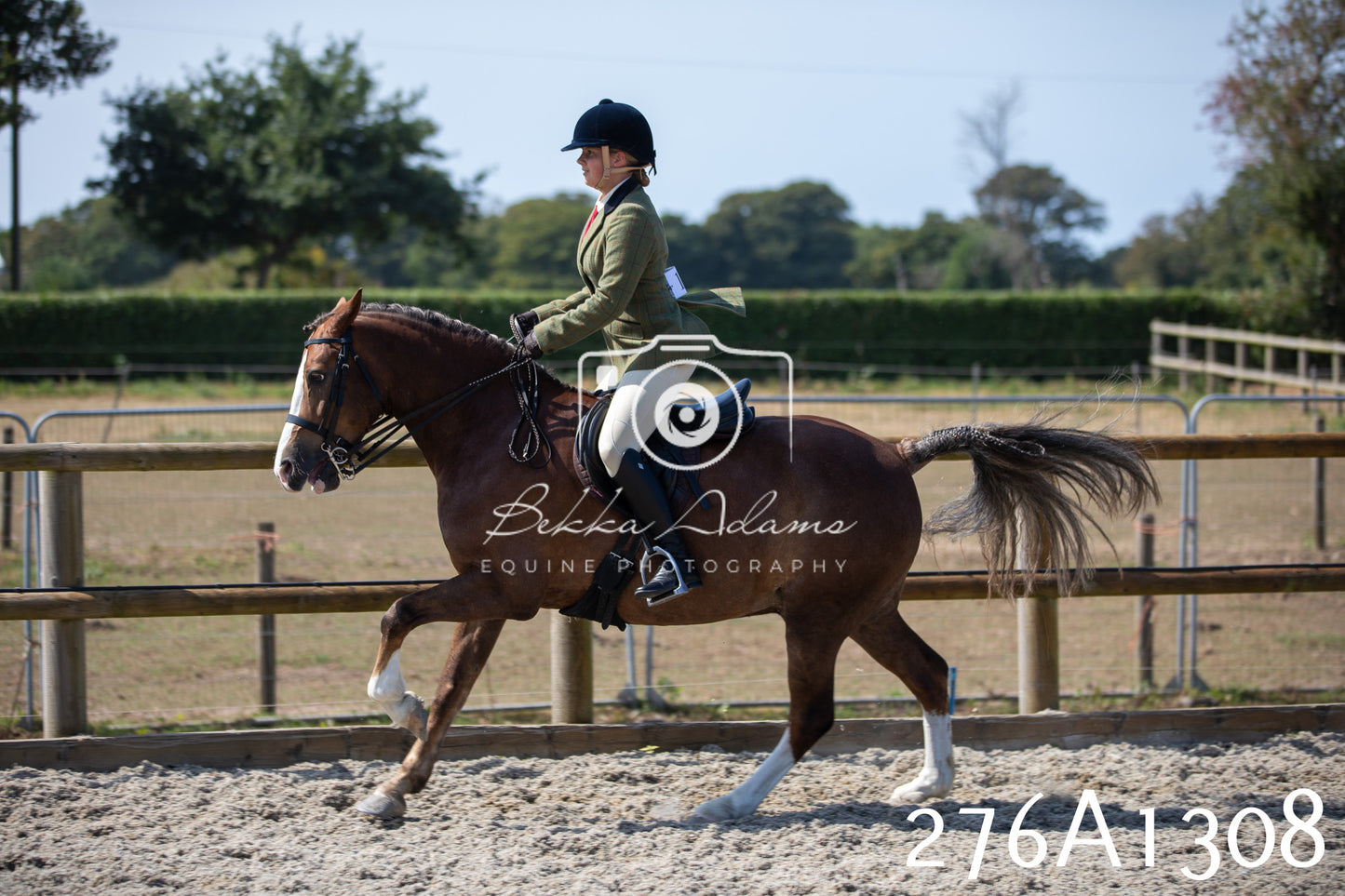 Home Farm Annual Show 2025 - Ridden Pt 1