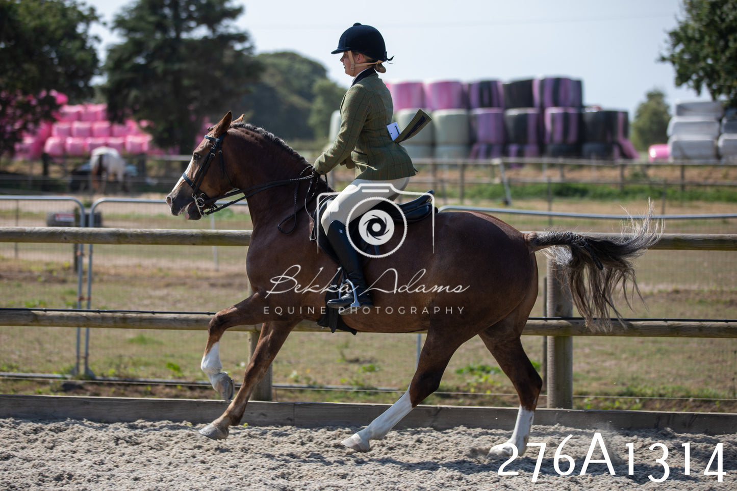 Home Farm Annual Show 2025 - Ridden Pt 1