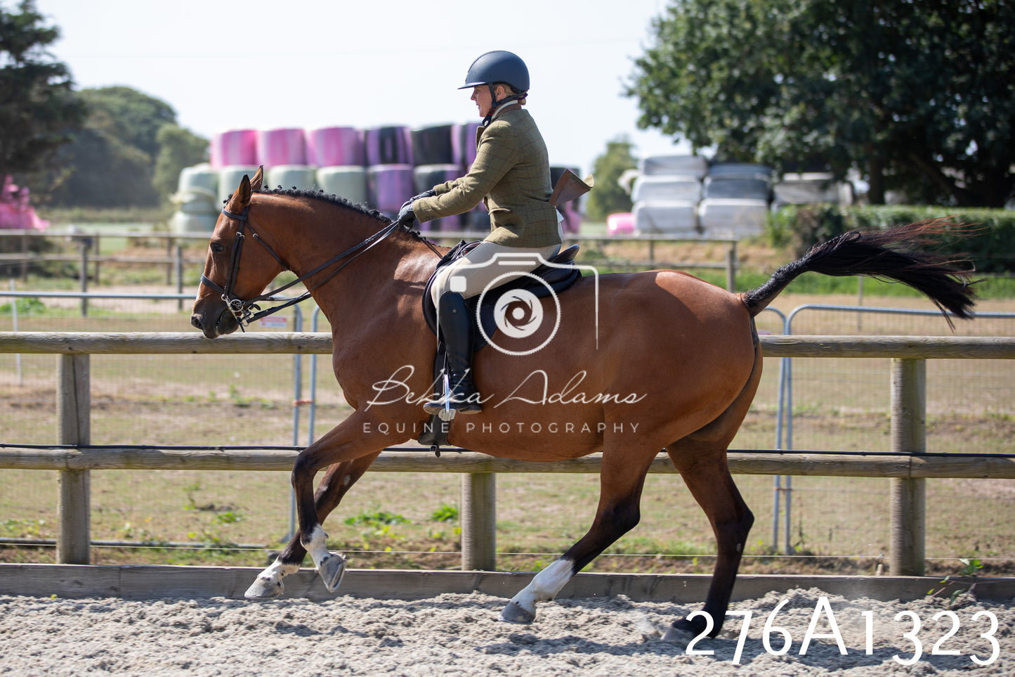 Home Farm Annual Show 2025 - Ridden Pt 1
