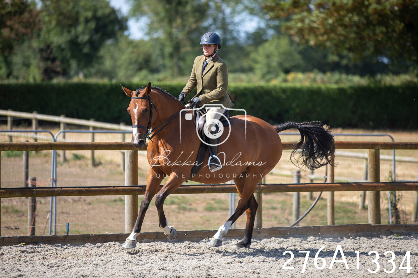 Home Farm Annual Show 2025 - Ridden Pt 1