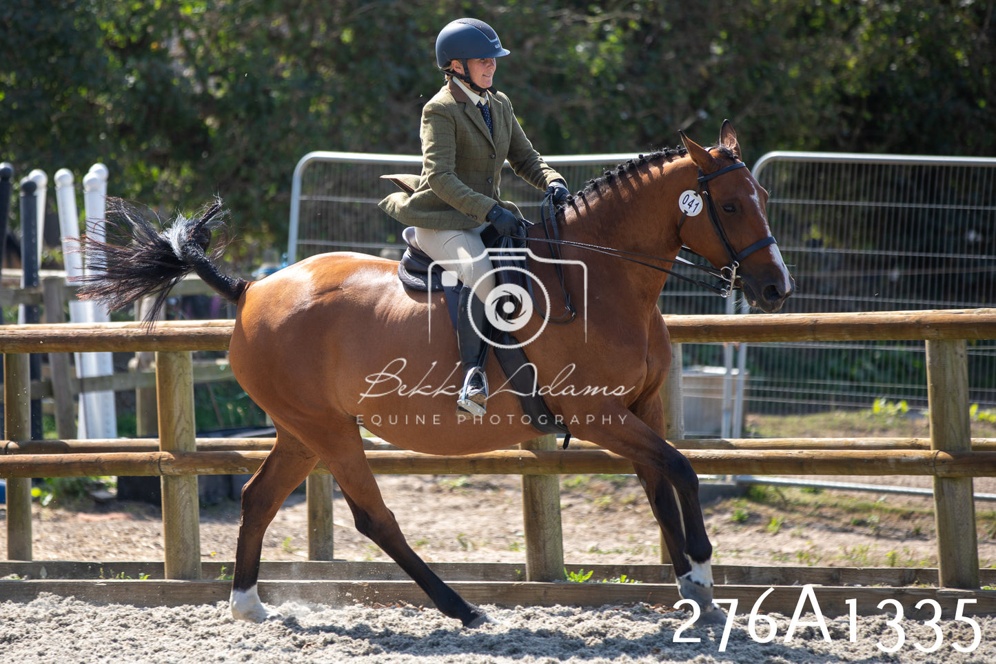 Home Farm Annual Show 2025 - Ridden Pt 1