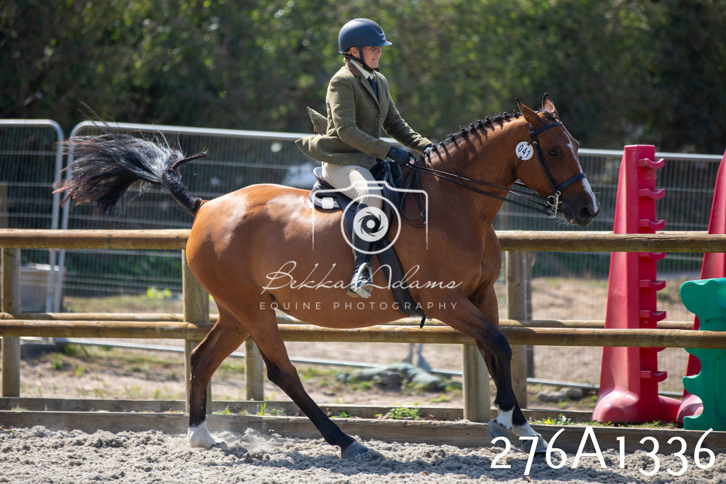 Home Farm Annual Show 2025 - Ridden Pt 1