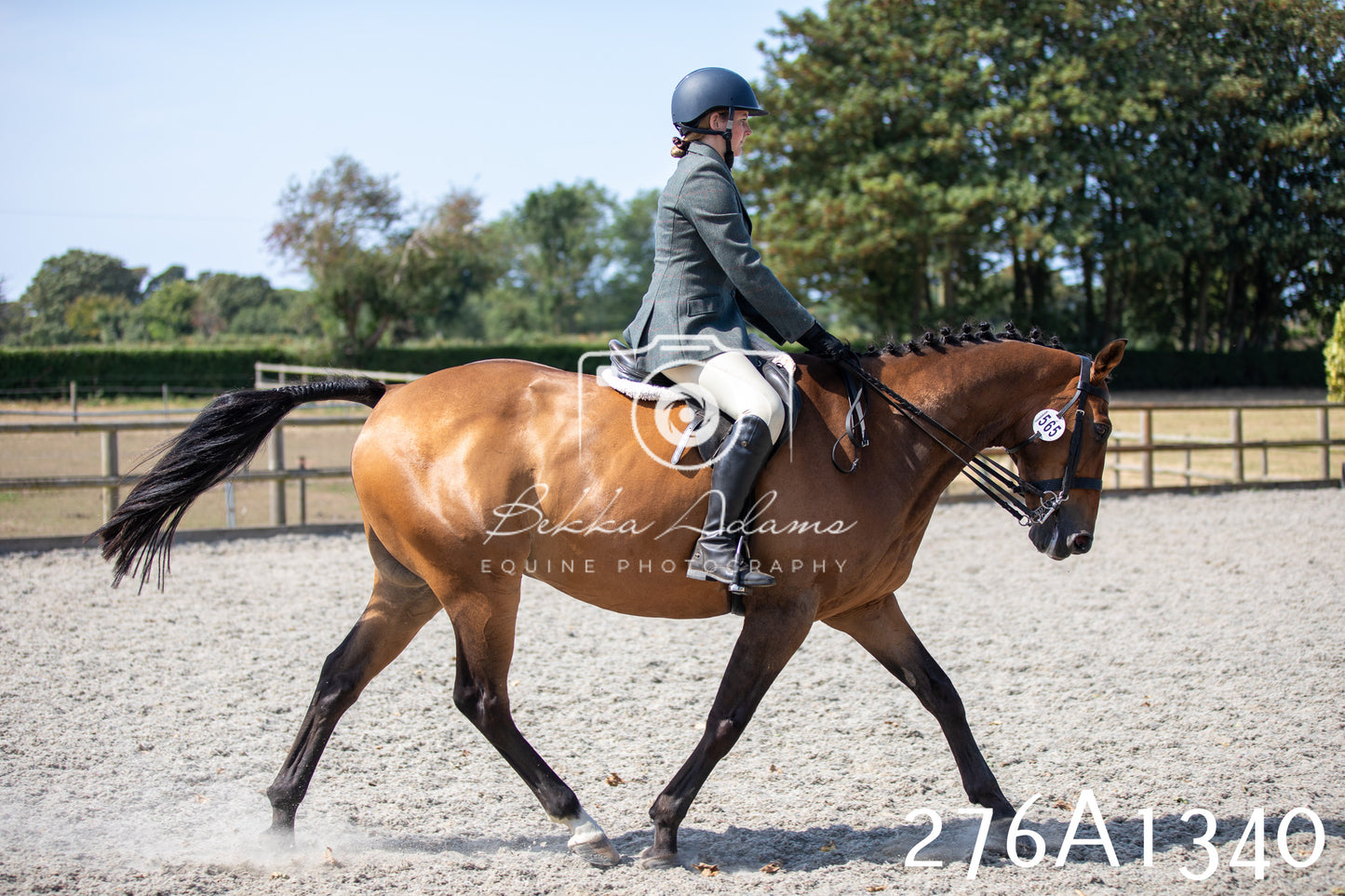 Home Farm Annual Show 2025 - Ridden Pt 1