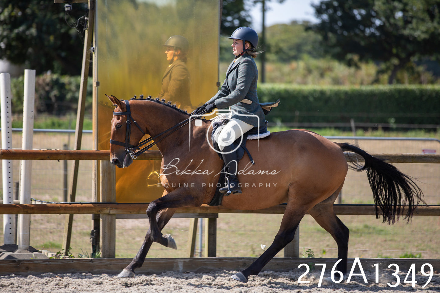 Home Farm Annual Show 2025 - Ridden Pt 1